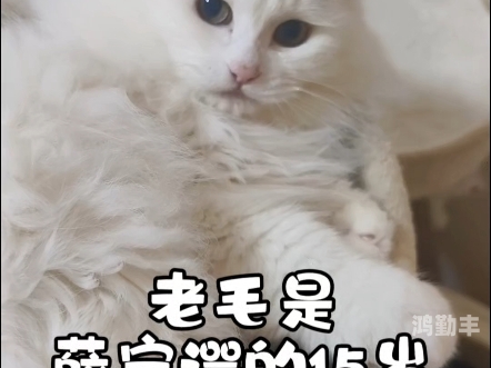 毛老太长相浓毛老太太的BGMBGMBGM传奇-第2张图片