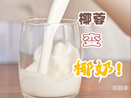 椰汁撞奶POH，一道独特的味觉体验-第3张图片