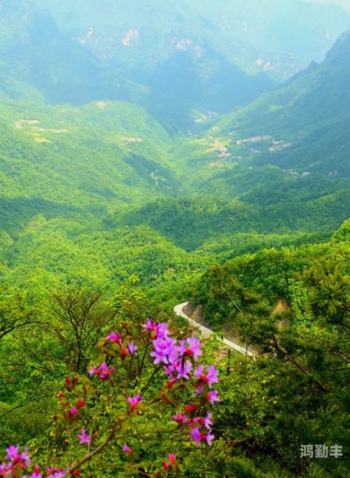 那对饱满的山峰电影免费观看那对饱满的山峰——自然之美与人文之韵-第2张图片