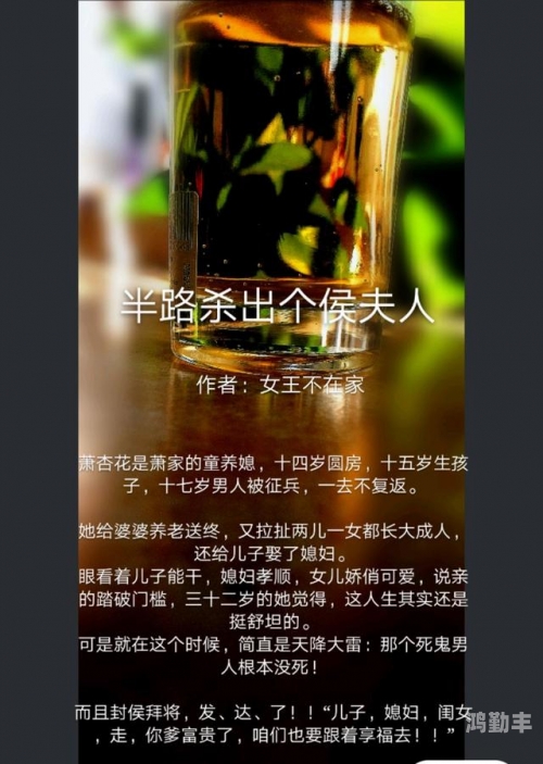 蜜芽188 .MON永不失联蜜芽188与MON，永不失联的数字世界-第2张图片