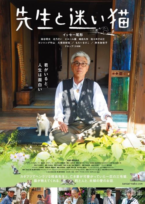 一个人看的免费观看日本电影免费观看日本电影，探索个人观影的乐趣