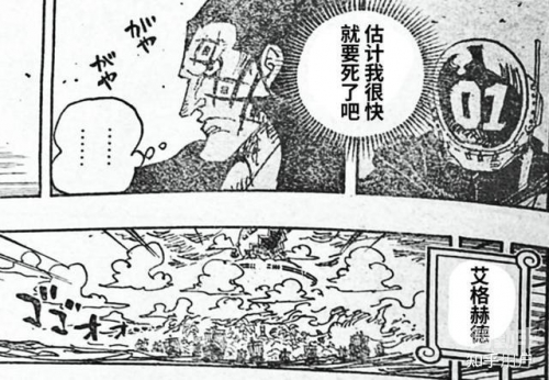 路飞的妈妈——一位勇敢的航海者-第1张图片