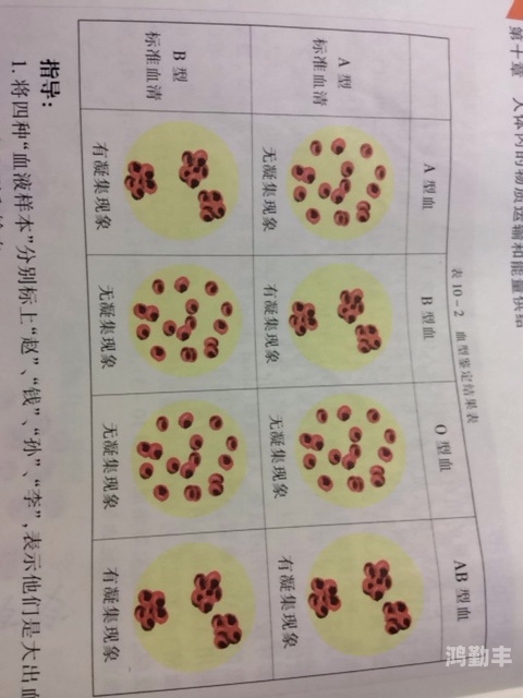 十种b型的外形特征印笼型十种B型的外形特点详解-第1张图片