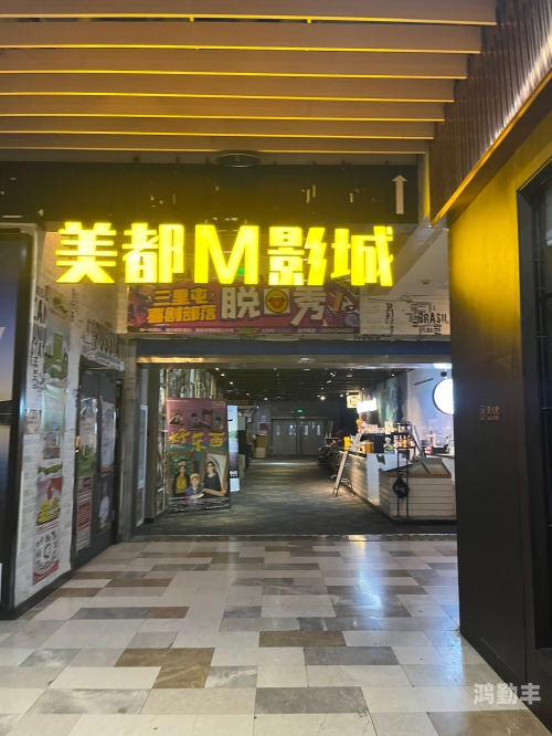 爱奇艺破解版电脑可以用吗爱奇艺破解版电脑，使用指南与风险评估-第3张图片