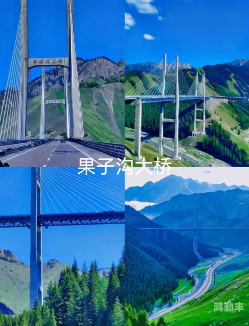 台湾仙踪林XZL台湾仙踪林XZL，神秘的自然奇观-第1张图片