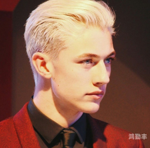 求欧美男同志网站在线观看探索欧美男同志网站指南