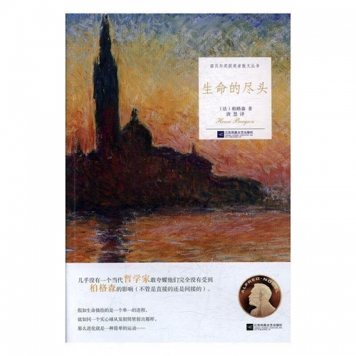 永恒终焉攻略永恒终焉，时间的尽头与生命的沉思-第3张图片