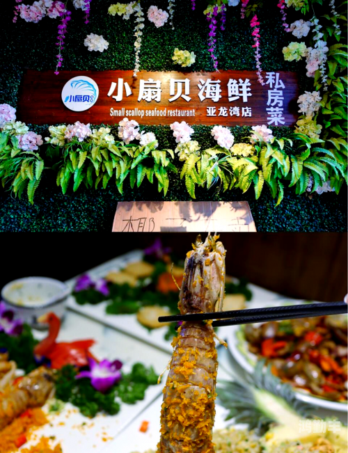 快让我吃一下你的小扇贝品味你的小扇贝，一场味蕾的奇妙之旅-第3张图片