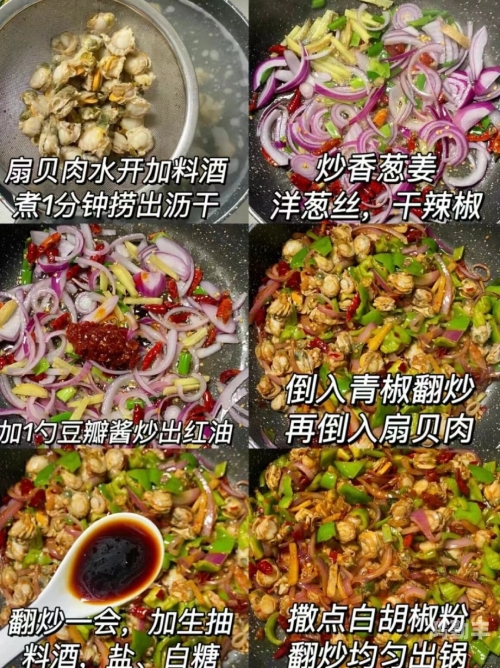 快让我吃一下你的小扇贝品味你的小扇贝，一场味蕾的奇妙之旅-第2张图片