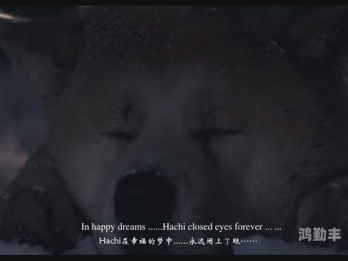 2分30秒不间断踹息声配音秀30秒不间断踹息声音频下载，探索与实用场景-第3张图片