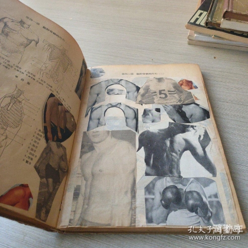 西西人体艺木G0G探索西西人体艺术之美-第2张图片