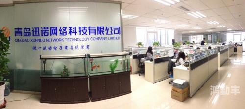 黄页推广币黄页88推广效果分析