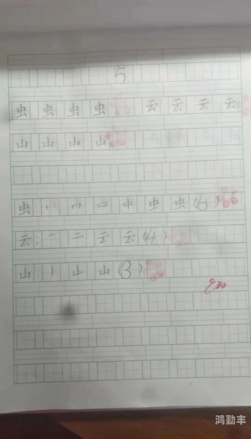 做一道题插一支笔怎么写做题与笔的交响曲，一道题一支笔的书写艺术-第2张图片