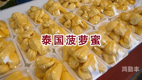 菠萝菠萝蜜在线免费观看菠萝菠萝蜜，在线免费观看的乐趣与体验-第1张图片
