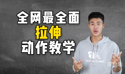 街头篮球教学全集街头篮球教学，从基础到进阶的全面指南