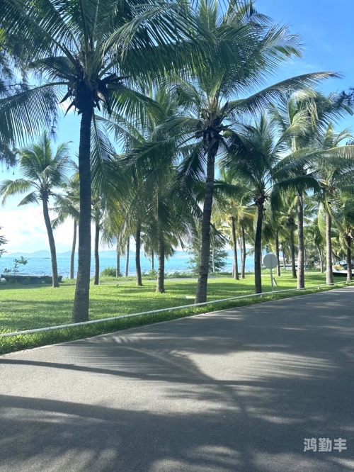 大手慢慢游走往下大手之下的细腻旅程