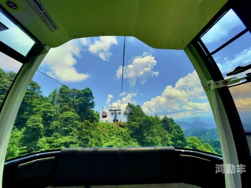 大手慢慢游走往下大手之下的细腻旅程-第3张图片