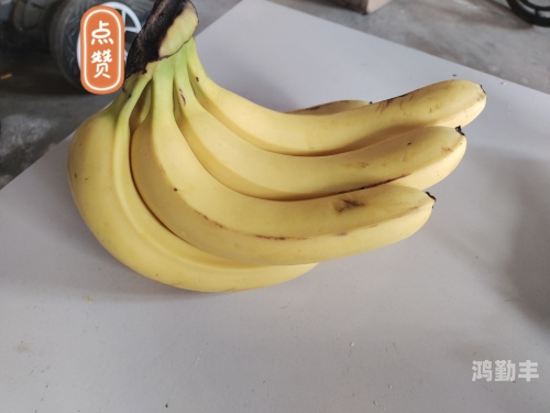 国产精品香蕉视频在线探索国产精品香蕉视频在线的魅力-第2张图片