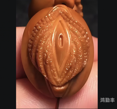 肉莲花的神秘与美丽-第3张图片