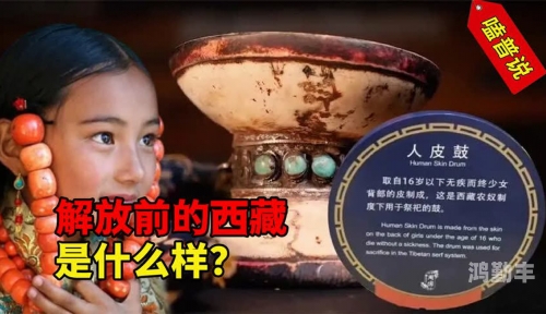 肉莲花的神秘与美丽-第1张图片