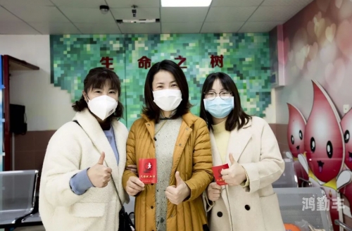 毒蘑菇测试官网，守护生命之树的重要防线-第3张图片