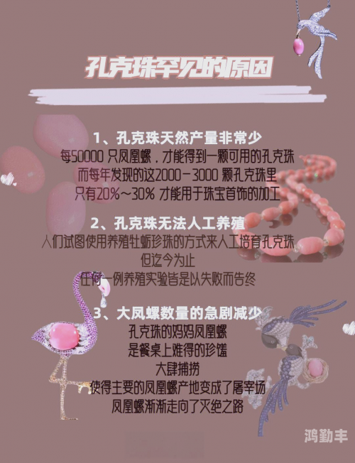 出珍珠的海螺渔民意外捞海螺现珍珠——海洋之宝的传奇故事-第2张图片