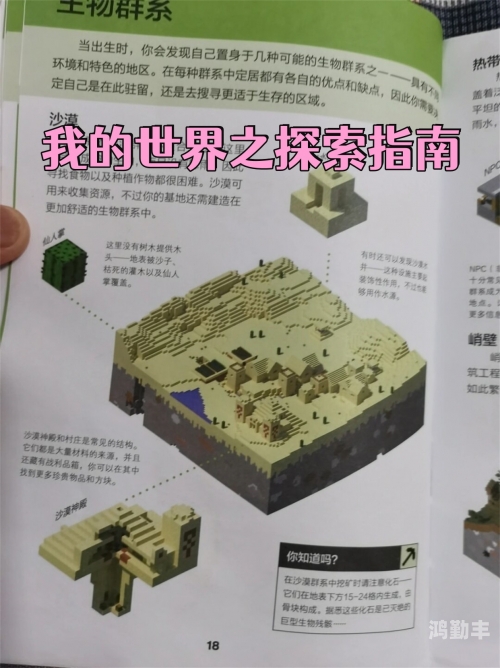 可以随意触摸人物隐私的游戏下载探索虚拟世界，可下载的触摸人物隐私游戏指南