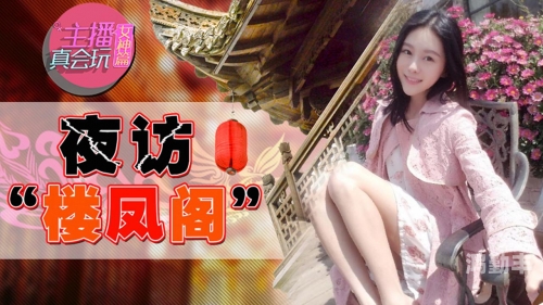 楼凤资料，深度解析与探讨-第2张图片
