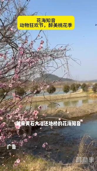 桃花影院电视剧在线播放探索黄石王赞的魅力之旅-第3张图片
