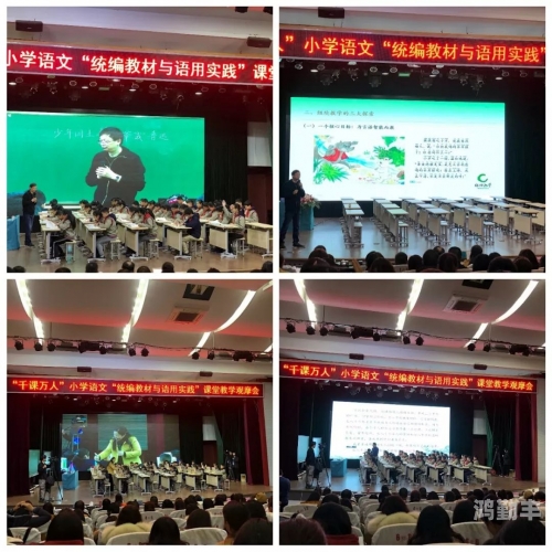 一次意外邂逅，我与语文课代表的C故事