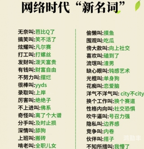 每日黑料51，揭秘网络世界里的那些趣事与笑料