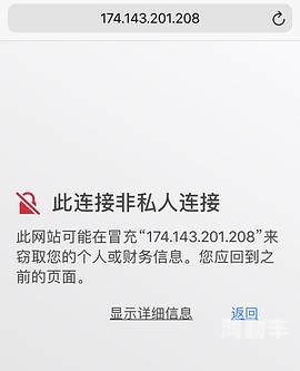 探索WRITEAS平台上的菊之魅力-第2张图片