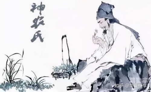 汉语大字典给力版——中华文化的瑰宝