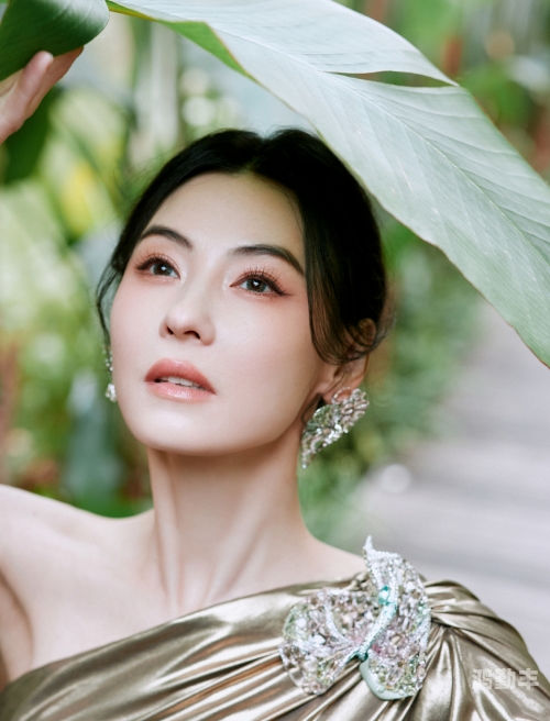 张柏芝与黑木耳的误解——澄清与解析-第2张图片