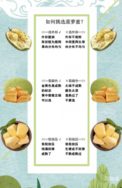 菠萝菠萝蜜视频，免费观看的乐趣与体验-第2张图片