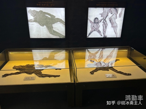 肉莲法器，神秘而深邃的宗教法器