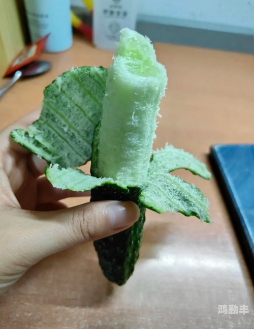黄瓜视频APP下载安装与无限观看体验——丝瓜苏州藏族文化探索-第2张图片