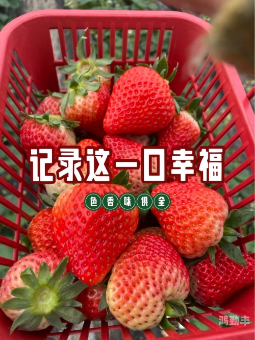 他用手把草莓往里推爱意满满的草莓盛宴，他用手把草莓往里推-第2张图片