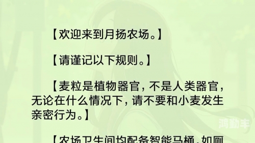 公憩止痒玉米地的注意事项公憩止痒的玉米地之旅-第1张图片