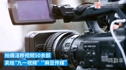麻豆视传媒官方网站入口，探索与发现-第1张图片