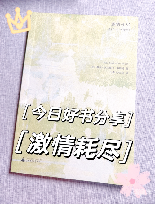 图片区小说区激情春色春色中的激情与图片区小说的魅力-第2张图片