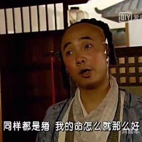 八戒视频在线观看免费播放电视剧琪琪成人，成长之路与人生选择
