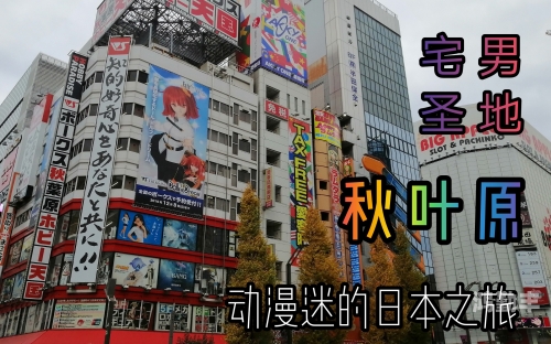 探索日本免费一本天堂在线的魅力之旅-第2张图片