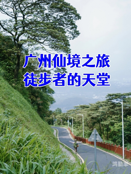 探索日本免费一本天堂在线的魅力之旅