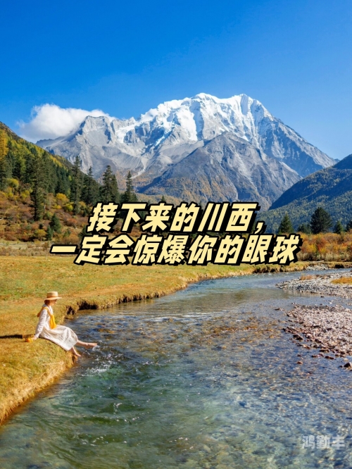 探索日本免费一本天堂在线的魅力之旅-第3张图片