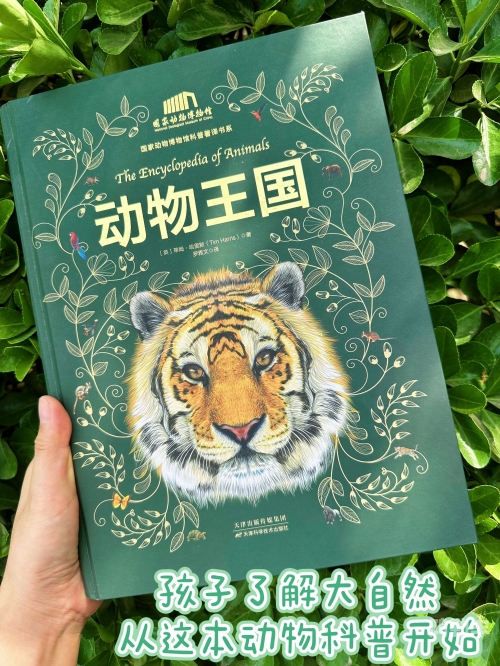 俄罗斯ZOOM动物俄罗斯的ZOOM动物，探索神秘的自然世界-第3张图片