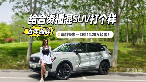 国产SUV精品一区二区883国产SUV精品，一区二区883的卓越表现-第2张图片