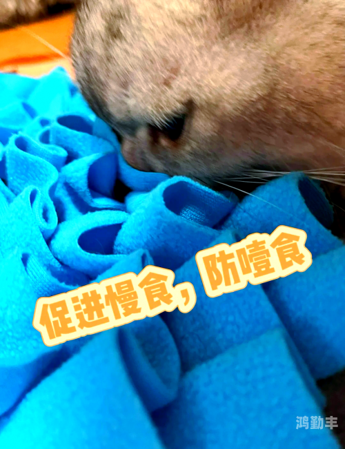 猫咪视频app不小心删了有人有吗探索猫咪视频APP，一个充满乐趣与互动的宠物世界-第3张图片