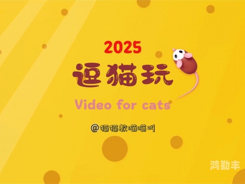 猫咪视频app不小心删了有人有吗探索猫咪视频APP，一个充满乐趣与互动的宠物世界-第2张图片
