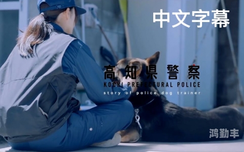 gogogo日本免费观看电视中文Gogogo！探索日本免费观看电视的中文体验-第2张图片